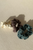 Scrunchie Toka